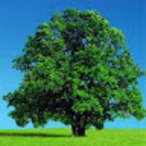 Meet your Posher, Kathleen